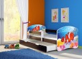 28 Clown fish (2).jpg